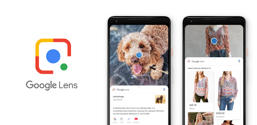 Google Lens vs. Microsoft Office Lens: Check which adds more gadget powers to your phone!